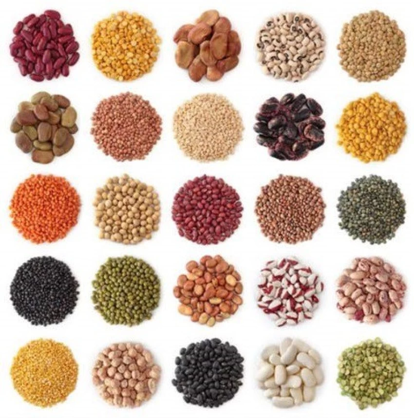 Seeds